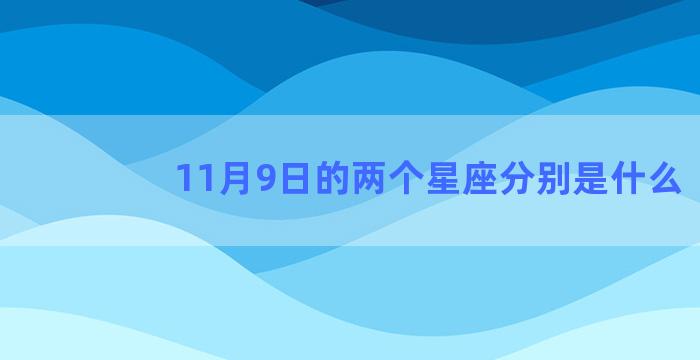 11月9日的两个星座分别是什么