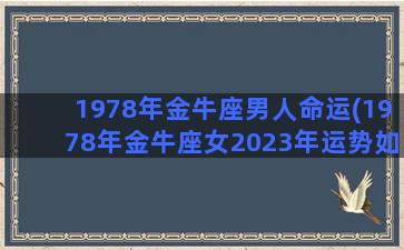 1978年金牛座男人命运(1978年金牛座女2023年运势如何)