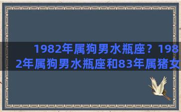 1982年属狗男水瓶座？1982年属狗男水瓶座和83年属猪女金牛座