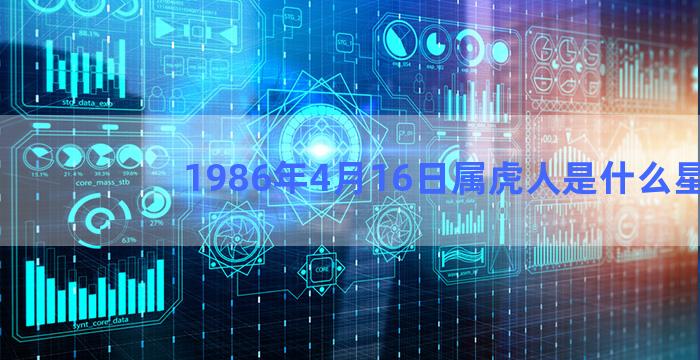 1986年4月16日属虎人是什么星