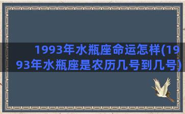 1993年水瓶座命运怎样(1993年水瓶座是农历几号到几号)