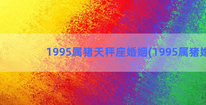 1995属猪天秤座婚姻(1995属猪婚姻)