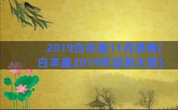 2019白羊座11月感情(白羊座2019年运势大变)