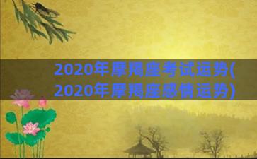 2020年摩羯座考试运势(2020年摩羯座感情运势)