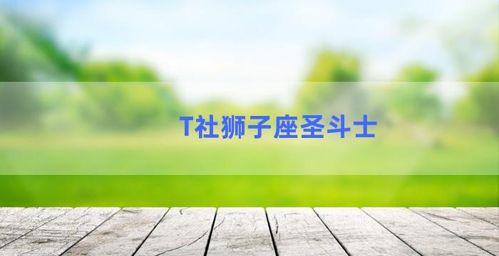 T社狮子座圣斗士