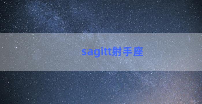 sagitt射手座