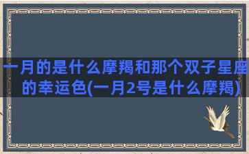 一月的是什么摩羯和那个双子星座的幸运色(一月2号是什么摩羯)