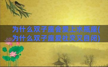 为什么双子座会爱上水瓶座(为什么双子座爱社交又自闭)