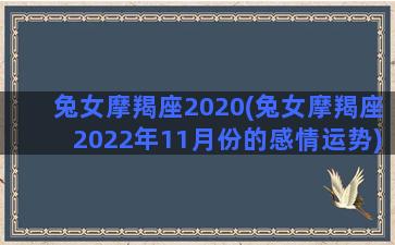 兔女摩羯座2020(兔女摩羯座2022年11月份的感情运势)