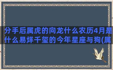 分手后属虎的向龙什么农历4月是什么易烊千玺的今年星座与狗(属虎的男人分手后的心理)