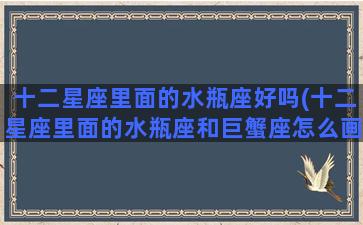 十二星座里面的水瓶座好吗(十二星座里面的水瓶座和巨蟹座怎么画)