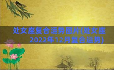 处女座复合运势图片(处女座2022年12月复合运势)