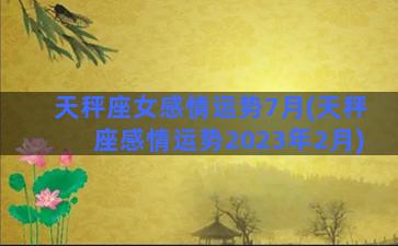 天秤座女感情运势7月(天秤座感情运势2023年2月)