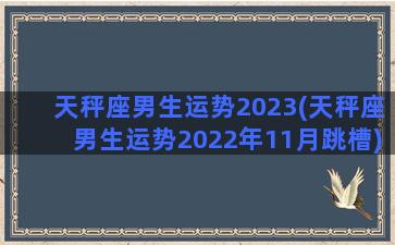 天秤座男生运势2023(天秤座男生运势2022年11月跳槽)