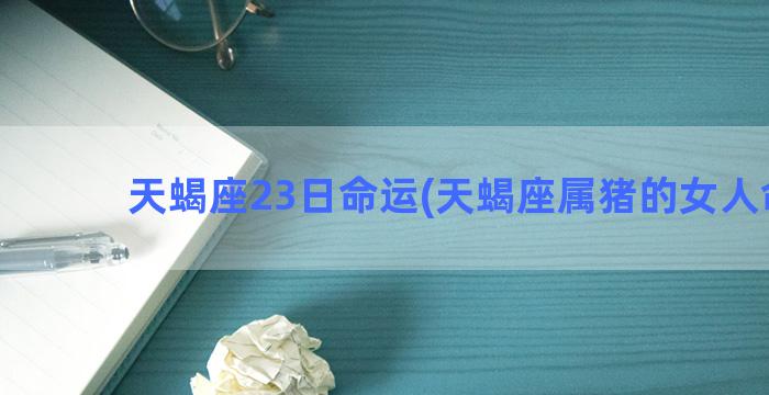 天蝎座23日命运(天蝎座属猪的女人命运)