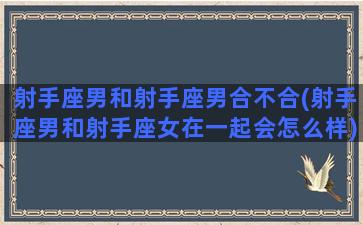 射手座男和射手座男合不合(射手座男和射手座女在一起会怎么样)