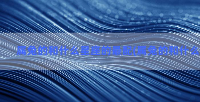 属兔的和什么星座的最配(属兔的和什么星座不合)