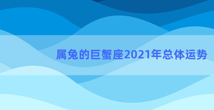 属兔的巨蟹座2021年总体运势