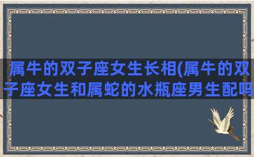 属牛的双子座女生长相(属牛的双子座女生和属蛇的水瓶座男生配吗)