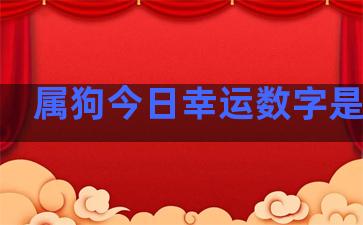 属狗今日幸运数字是多少