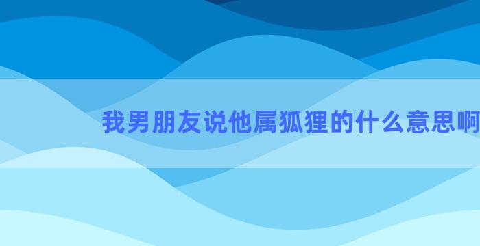 我男朋友说他属狐狸的什么意思啊