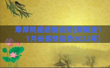 摩摩羯座感情运势(摩羯座11月份感情运势2022年)