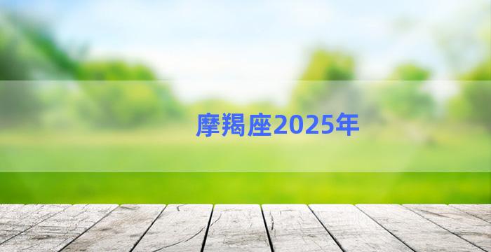 摩羯座2025年