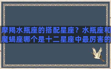 摩羯水瓶座的搭配星座？水瓶座和魔蝎座哪个是十二星座中最厉害的，最可怕的