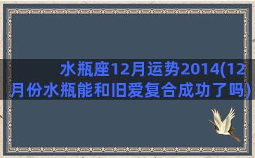 水瓶座12月运势2014(12月份水瓶能和旧爱复合成功了吗)