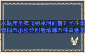 水瓶座圣衣飞到冰河面前？圣斗士青铜五小强分别继承哪五件黄金圣衣