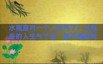 水瓶座对一个人生气了？水瓶座的人生气了会一直不理你吗