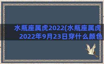 水瓶座属虎2022(水瓶座属虎2022年9月23日穿什么颜色)