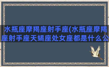 水瓶座摩羯座射手座(水瓶座摩羯座射手座天蝎座处女座都是什么公主)