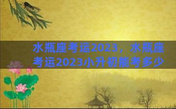 水瓶座考运2023，水瓶座考运2023小升初能考多少