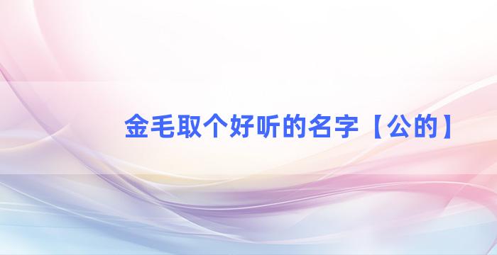 金毛取个好听的名字【公的】