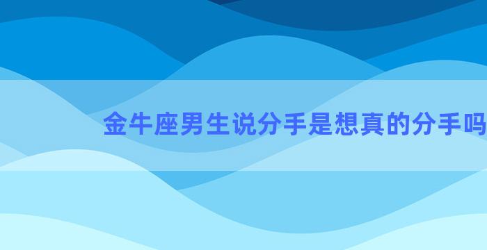 金牛座男生说分手是想真的分手吗