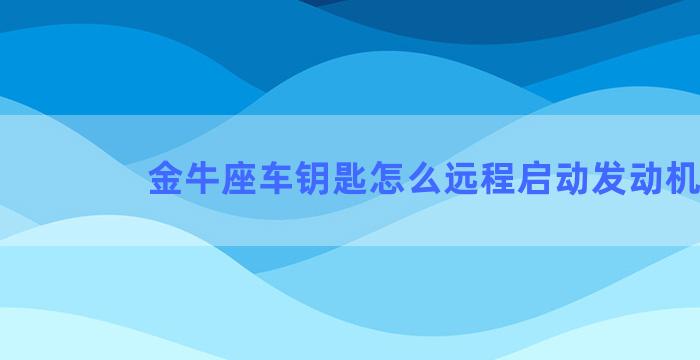 金牛座车钥匙怎么远程启动发动机