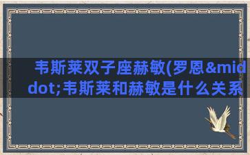 韦斯莱双子座赫敏(罗恩·韦斯莱和赫敏是什么关系)